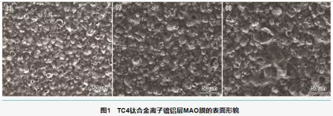 TC4鈦合金離子鍍鋁后MAO膜的表面形貌 TC4鈦合金離子鍍鋁后MAO膜的表面形貌