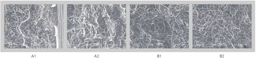 TA22合金棒材的沖擊斷口微觀形貌 TA22合金棒材的沖擊斷口微觀形貌