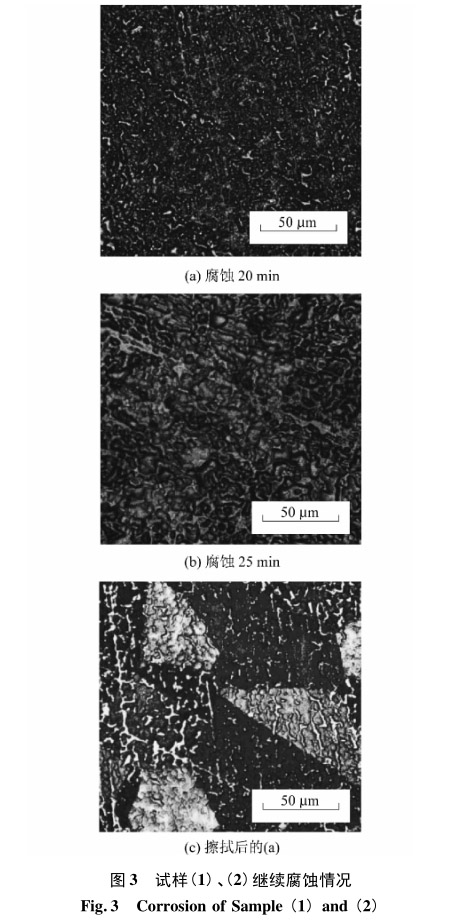 試樣(1)、(2)繼續(xù)腐蝕情況