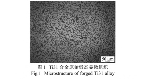 Ti31合金原始鍛態顯微組織 Ti31合金原始鍛態顯微組織