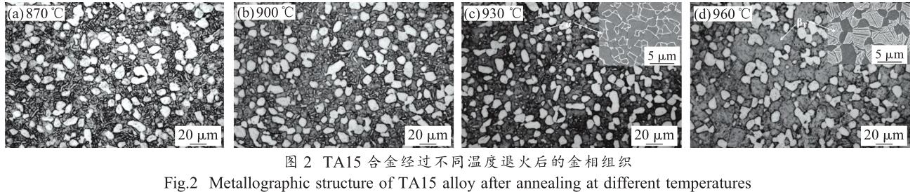 1688907156847771.jpg t2.jpg