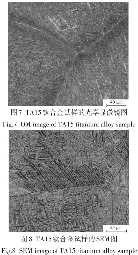 1695567541199973.jpg t7-8.jpg