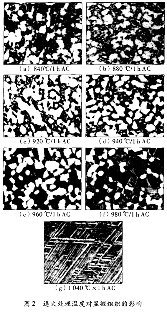 1696458861409100.jpg t2.jpg