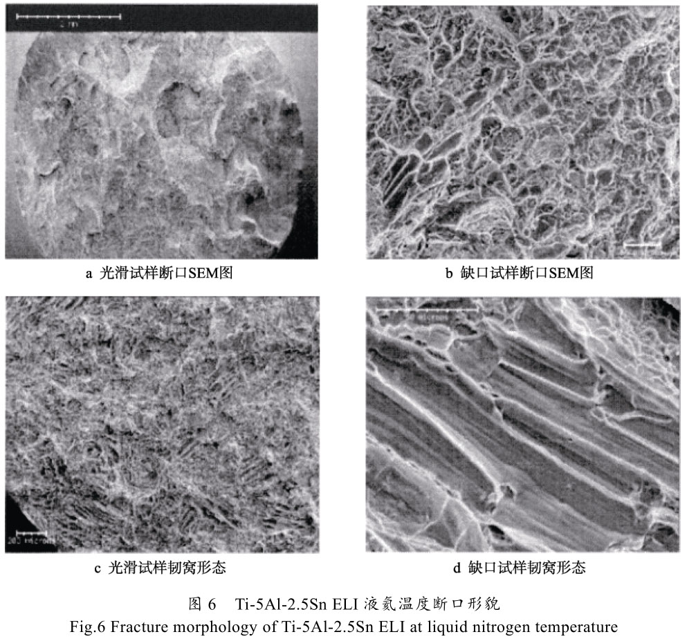 1699223140381512.jpg t6.jpg