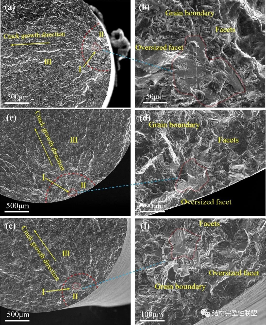 1699865538971586.jpg 3.jpg