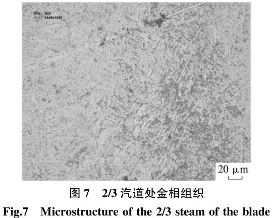 1700692027544316.jpg t7.jpg