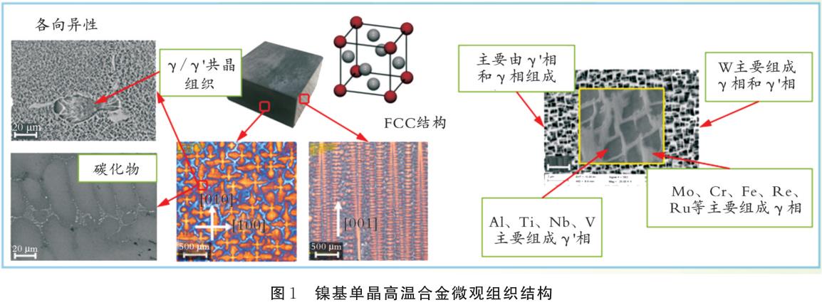 1704838528479597.jpg t1.jpg