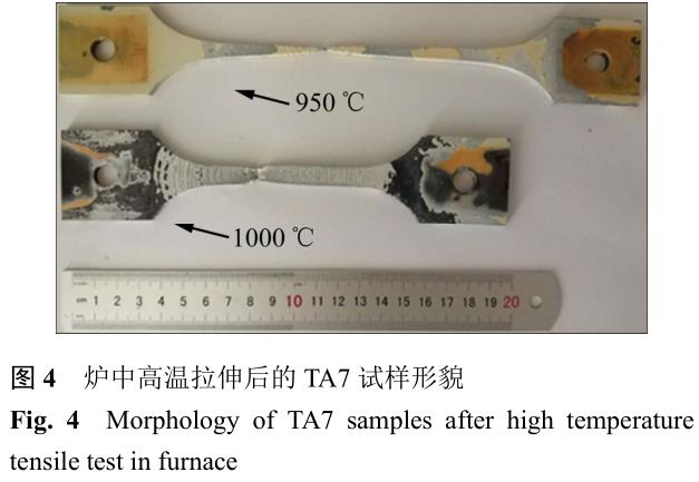 1705735485880595.jpg t4.jpg