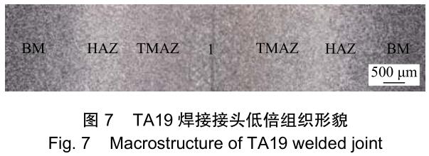 1706279216799612.jpg t7.jpg