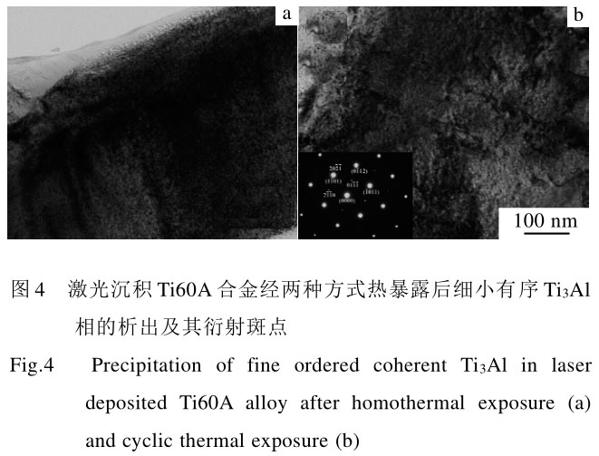 1708439151360016.jpg t4.jpg