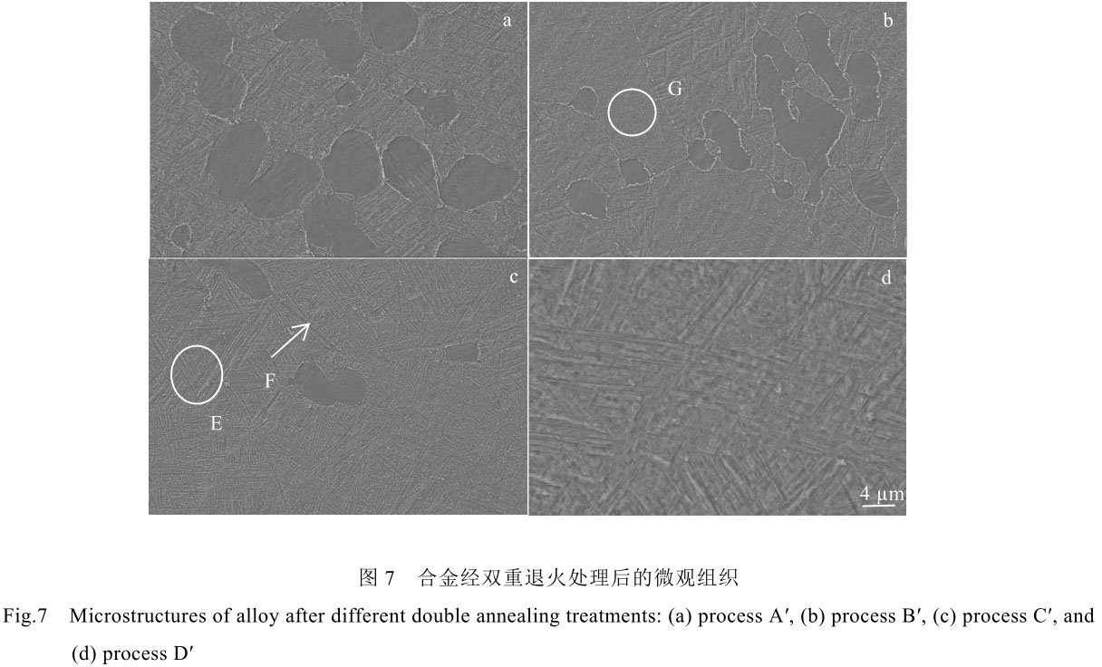 1708444169127742.jpg t7.jpg