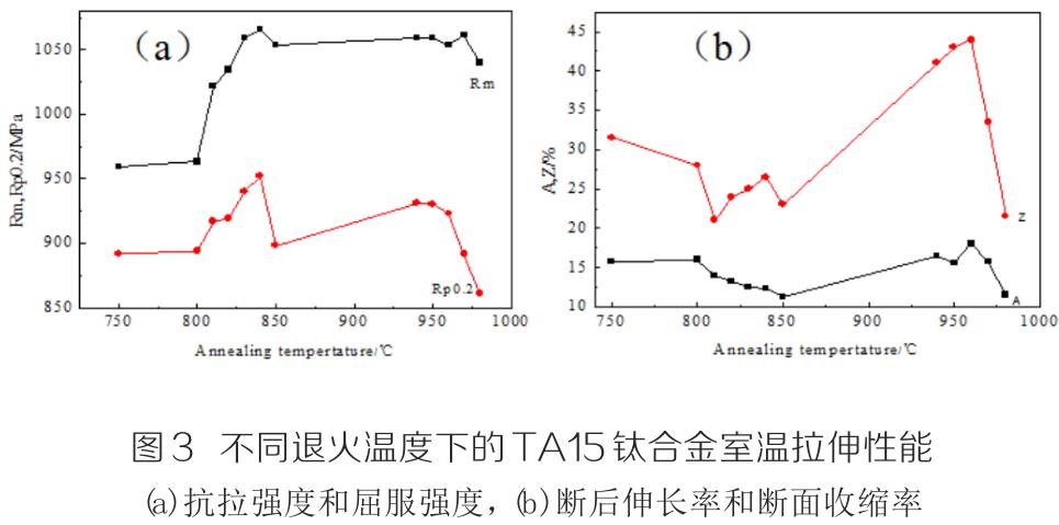 1710489047461035.jpg t3.jpg
