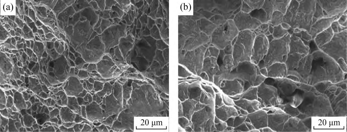 1710817770953172.jpg 5.jpg