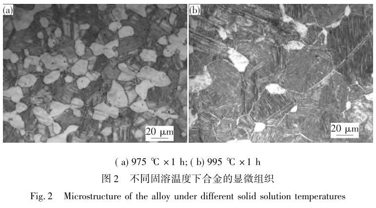 1711444732715113.jpg t2.jpg