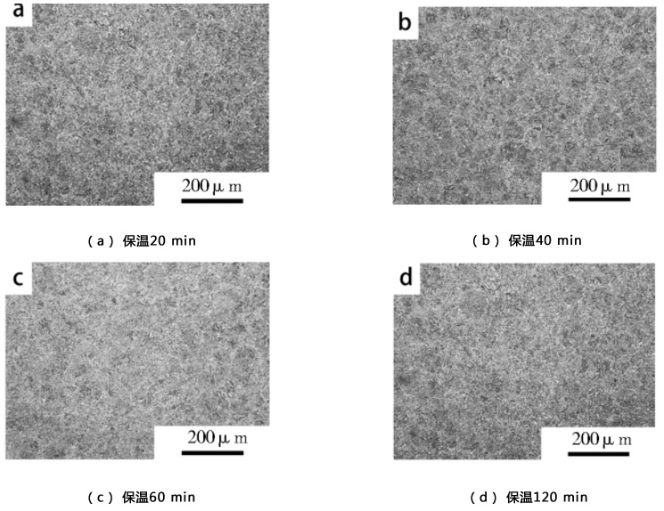 1712891714894508.jpg 2.jpg