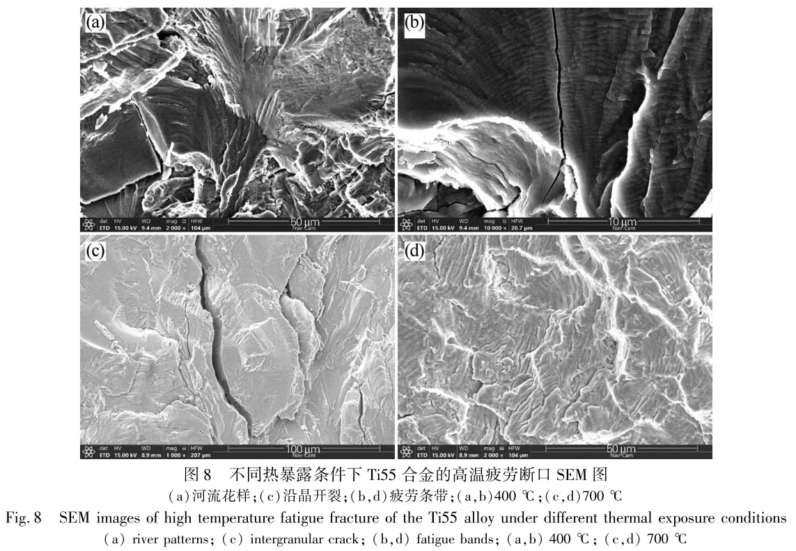 1713441137932576.jpg 未標題-8.jpg