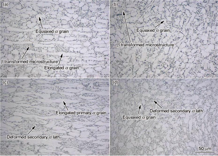 1713927810224518.jpg 1.jpg