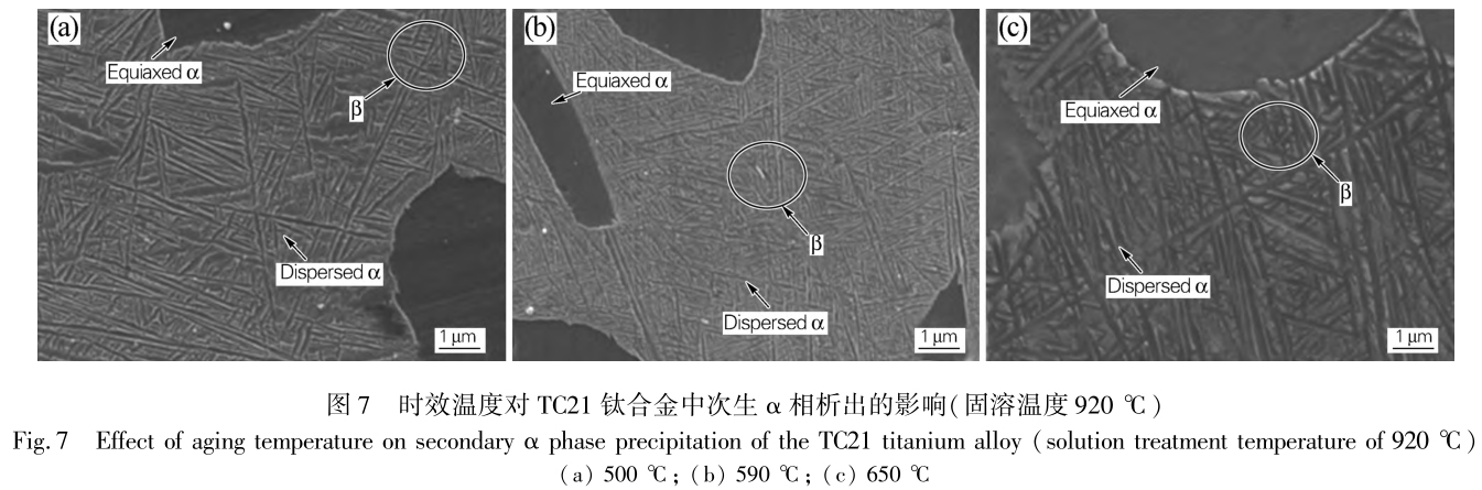 1715503064205478.jpg t7.jpg