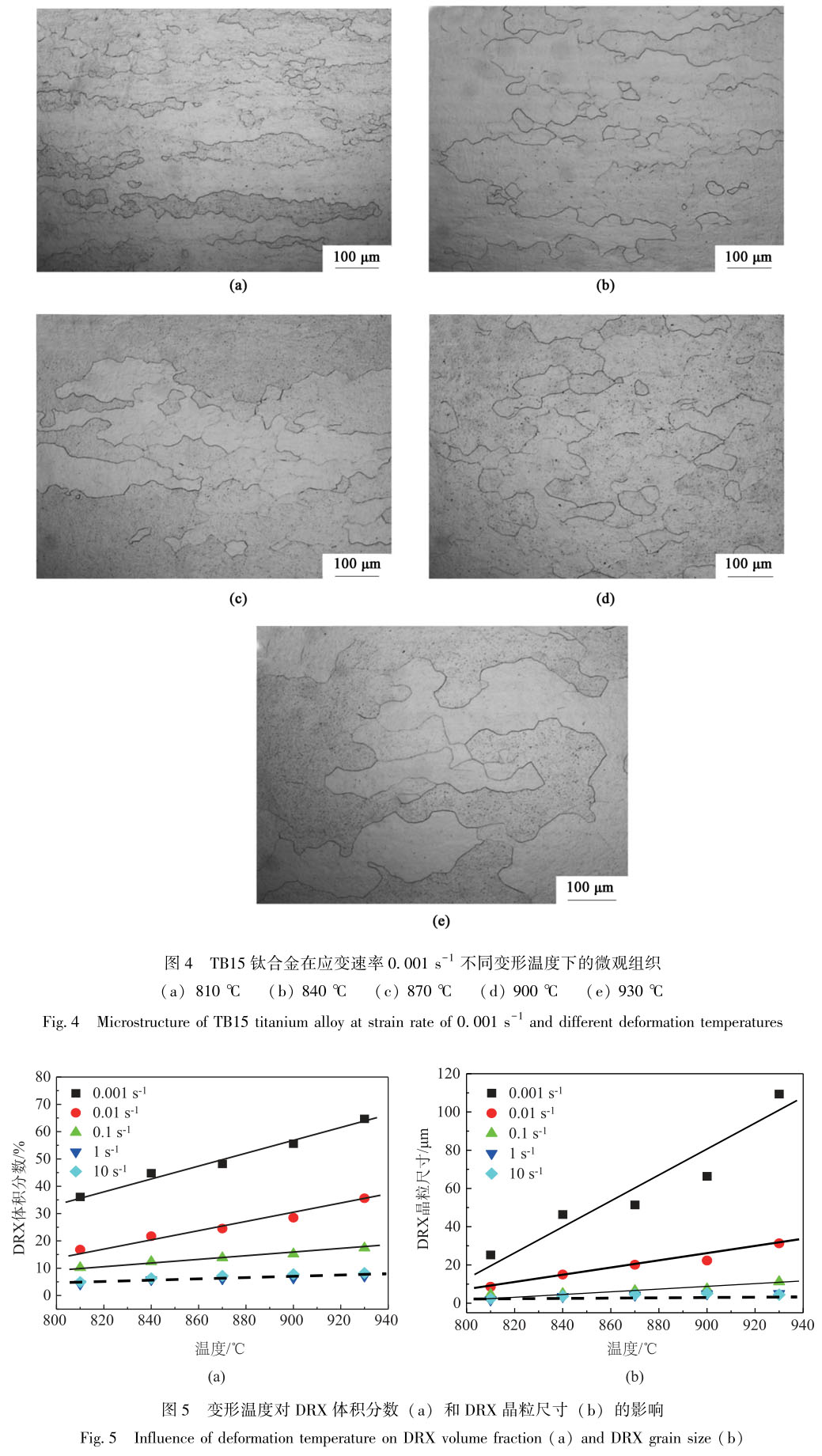 1718028422598319.jpg t4-5.jpg