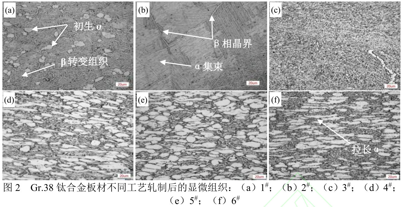 1719804178419948.jpg t2.jpg