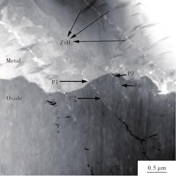 1720079235873677.jpg 2.jpg