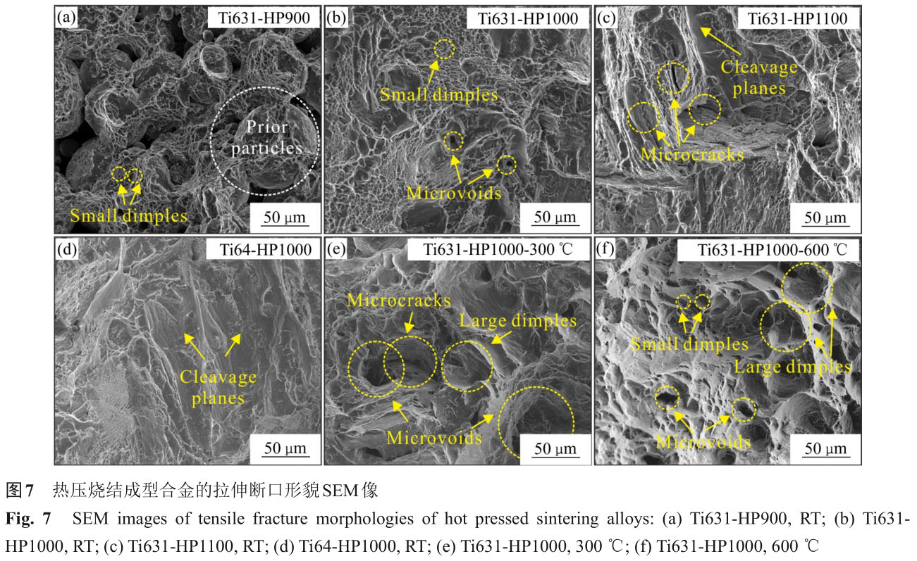 1723726741341544.jpg t7.jpg