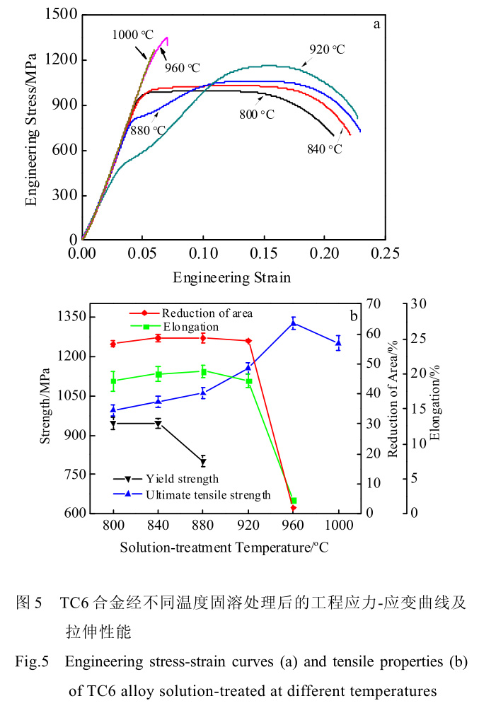 1726732860731055.jpg t5.jpg