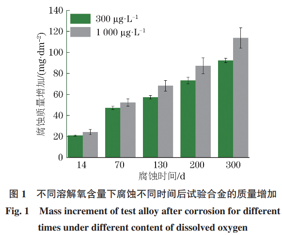 1733039401676634.png 1.png