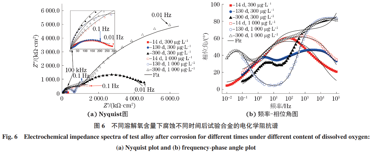 1733039468462304.png 6.png