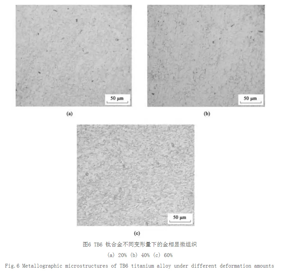 1733576682255095.jpg 6.jpg