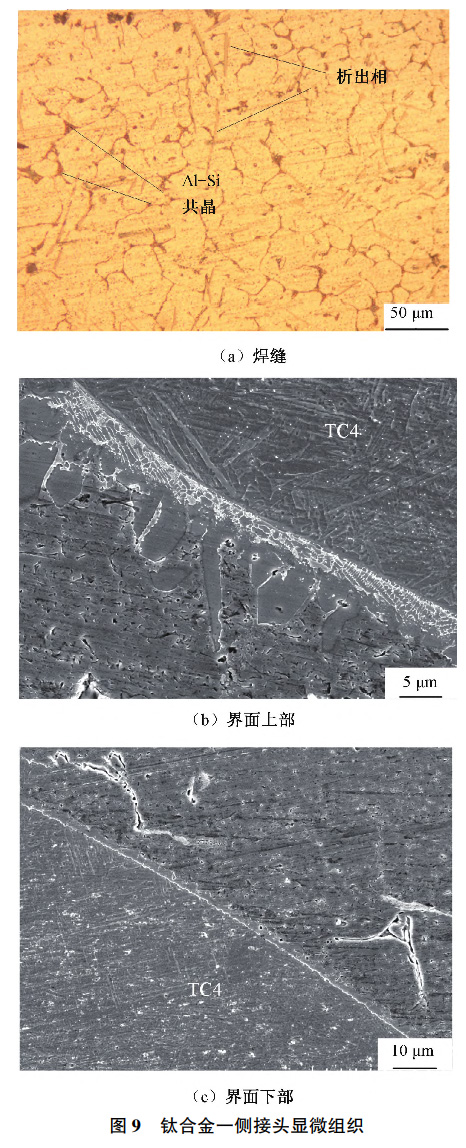 1734838957196018.jpg 9.jpg