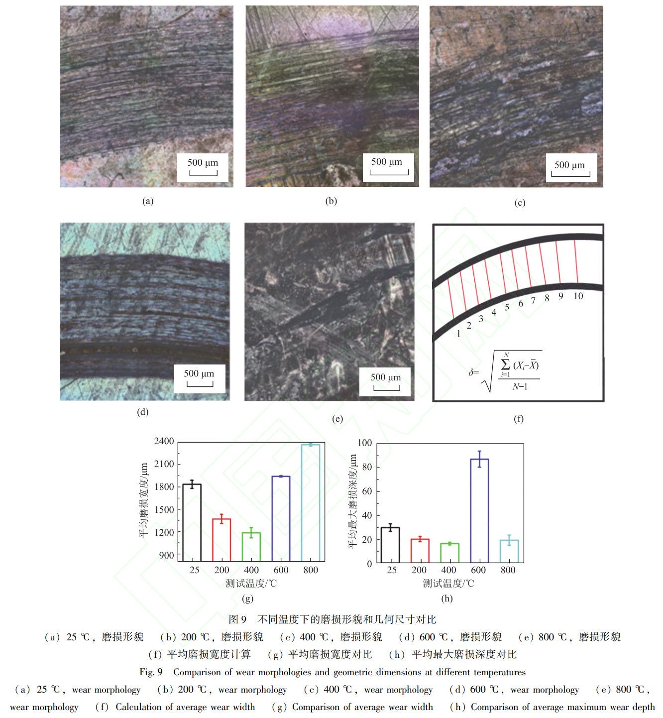 1739626511977744.jpg 9.jpg