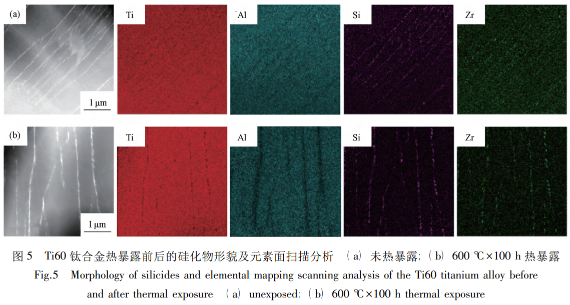 1739699217500461.png 截圖20250216174301.png