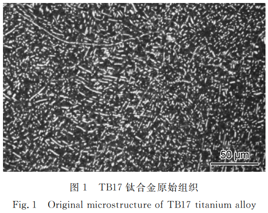 1758625323295852.png 截圖20250923185508.png