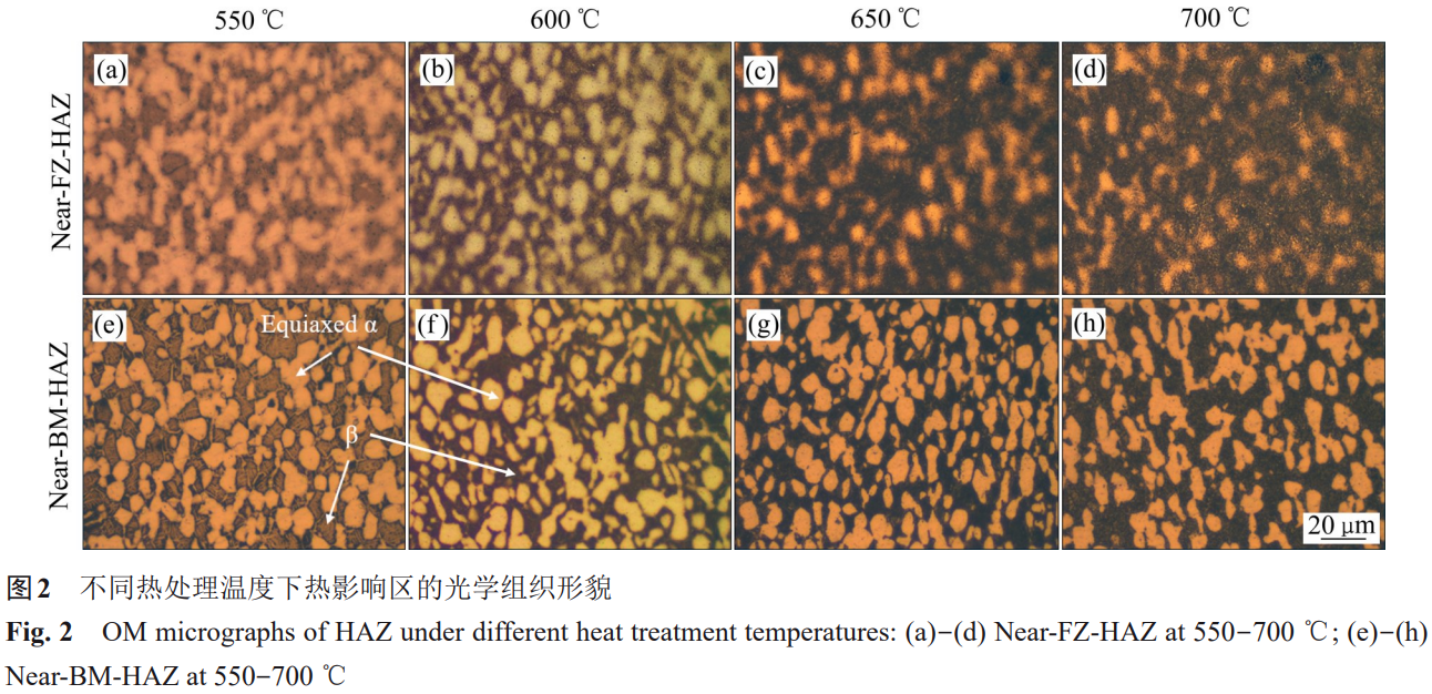 1759828641507488.png 截圖20251007164555.png