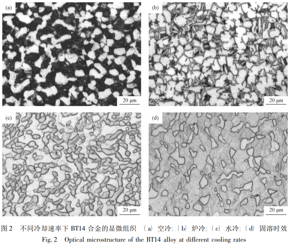 1760926057831459.png 截圖20251020095838.png