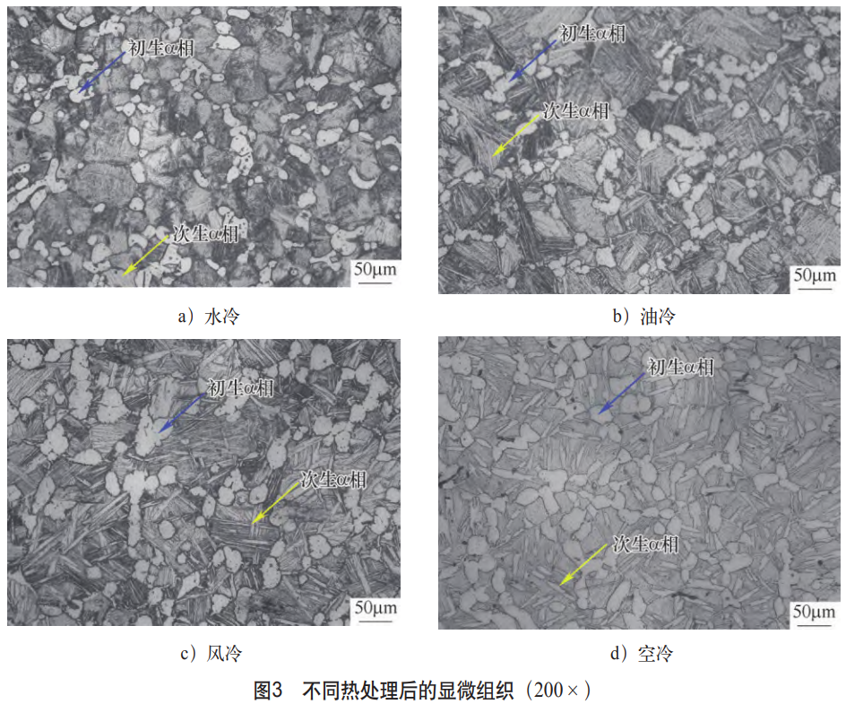 1761880807139653.png 截圖20251031100559.png